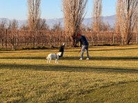 Bassano 2024 III - 43